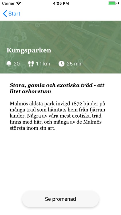 Träd i Malmö