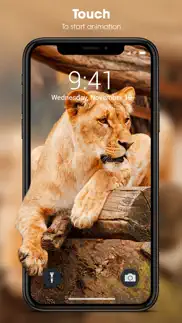 live wallpapers for iphone. problems & solutions and troubleshooting guide - 3
