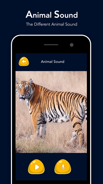 Animal Sound - Zoo Fun screenshot-4