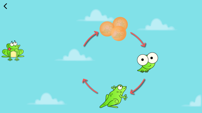 Kids Preschool Learning Games