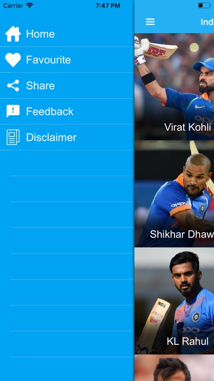Indian Cricket Team screenshot-4