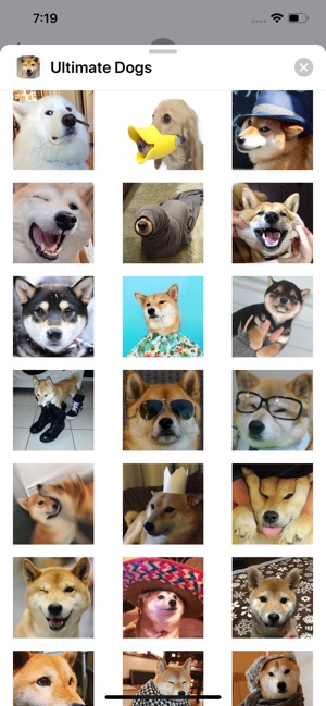 Ultimate Dogs Sticker Pack(圖4)-速報App