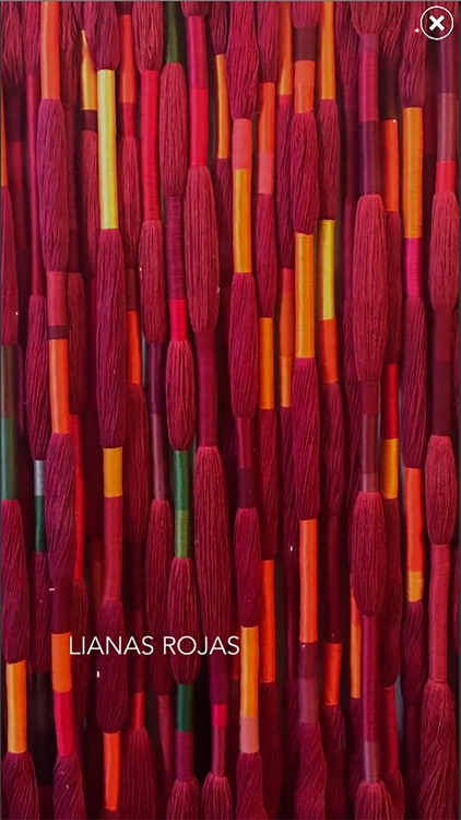 Reencuentro, Sheila Hicks