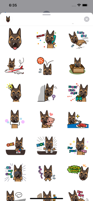 Cute Belgian Malinois Sticker