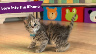 Little Kitten - My Favorite Cat Screenshot 4