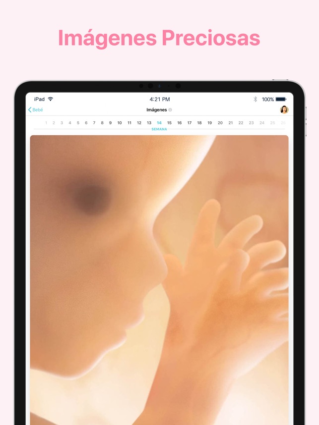 Embarazo +| para mamás y papás en App Store