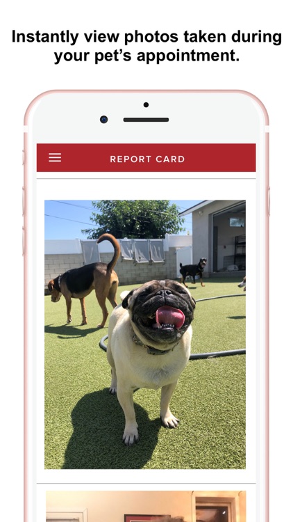 The Dog Republic screenshot-4