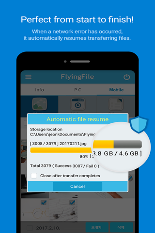 FlyingFile screenshot 4