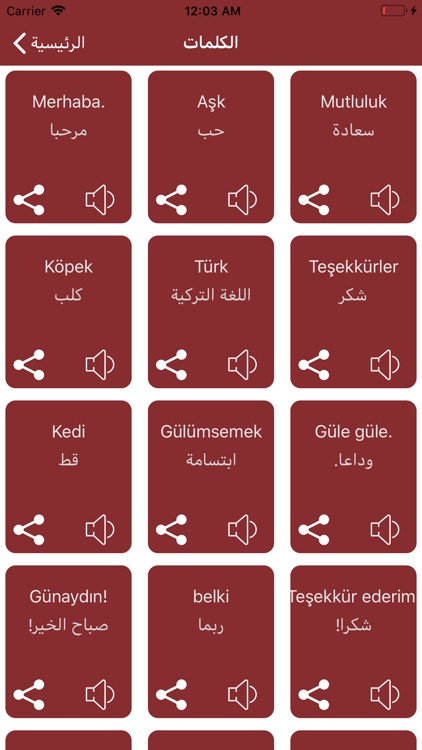 تعلم اللغة التركية للسفر screenshot-3