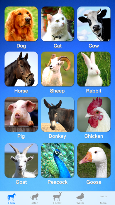 ZOOLA Animals Screenshot 1