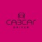 What is CabCar
