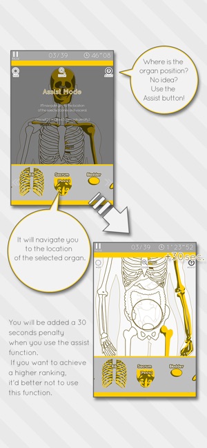 Enjoy Learning Anatomy puzzle(圖3)-速報App