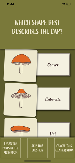 Snout: Mushroom Identification(圖5)-速報App