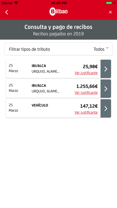 Bilbao UdalTax screenshot 3