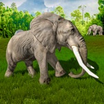 Wild Bigfoot Elephant Life