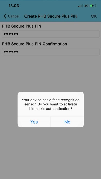 RHB Secure Plus screenshot 3