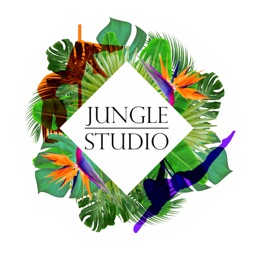 Jungle Studios