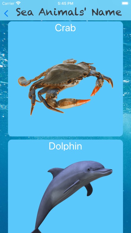 Sea Animals in English