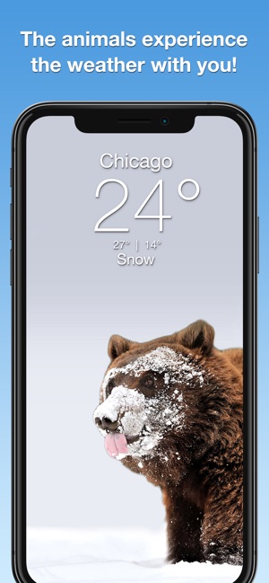 Wildlife Wallpaper Weather(圖2)-速報App