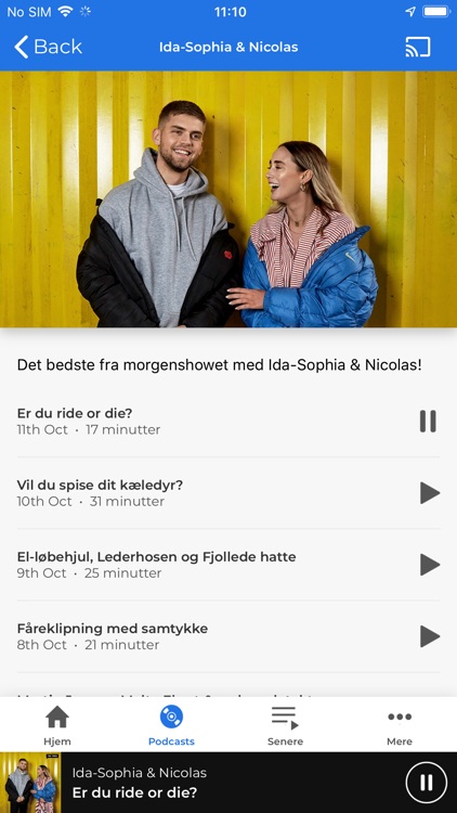 RadioPlay DK screenshot-3
