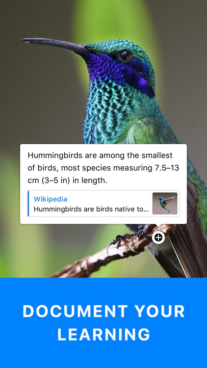 ThingLink