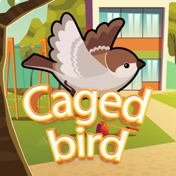 Caged Bird