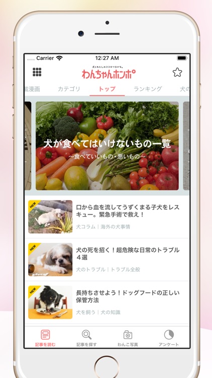 犬のニュースや飼い方の情報をまとめ読み わんちゃんホンポ By P Nest Japan Inc