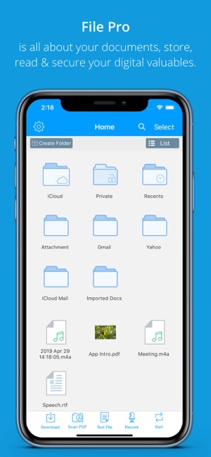 File Pro Mini(圖1)-速報App