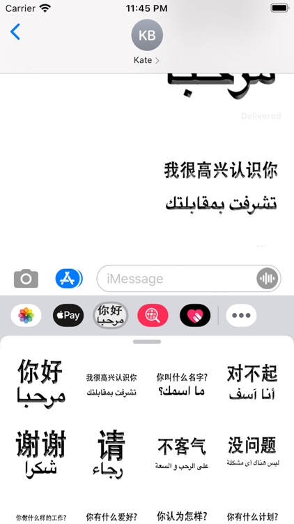 Arabic Chinese Sticker screenshot-3