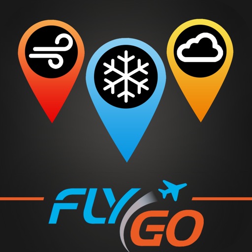 Aviation Weather Group Manager Icon