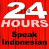 In 24 Hours Learn Indonesian