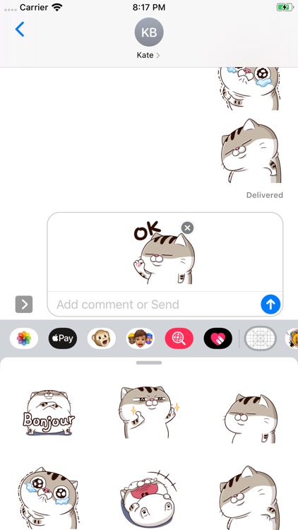 Animated Funny Cat Stickers