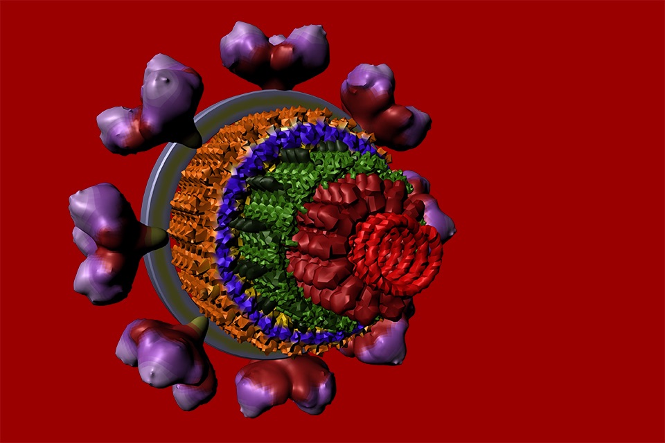 Bio Virus Structure in 3D screenshot 2