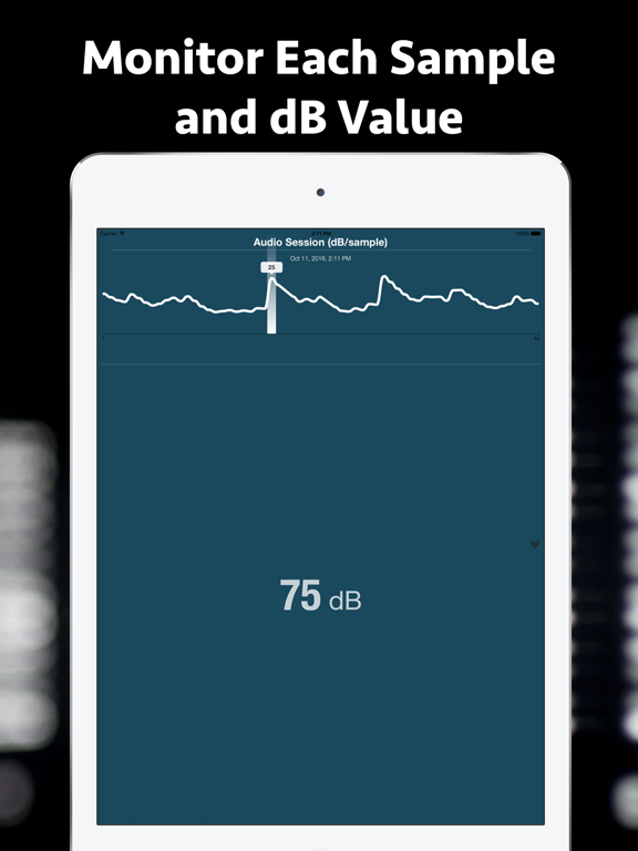 dB Meter + screenshot 3