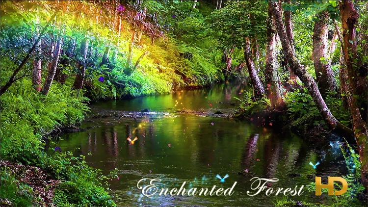 Enchanted Forest HD screenshot-3