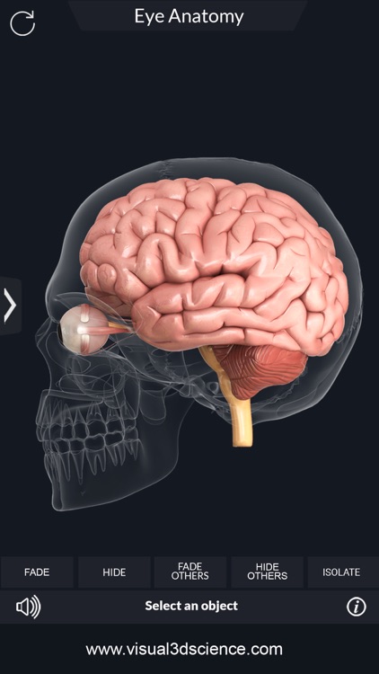 My Eye Anatomy screenshot-3