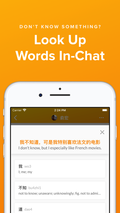 Linguistic – Language Learning screenshot 4