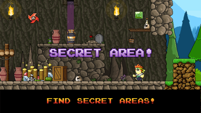 Screenshot from Dan The Man