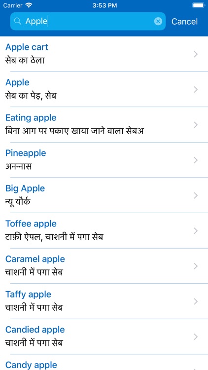 iDictionary English - Hindi