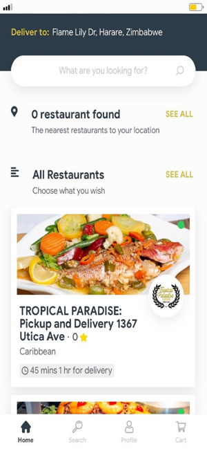 Tropical Paradise app(圖3)-速報App