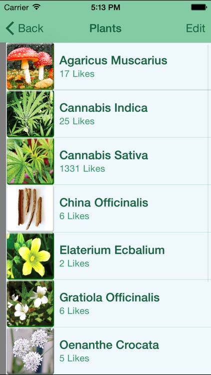 Materia Medica Live Lite