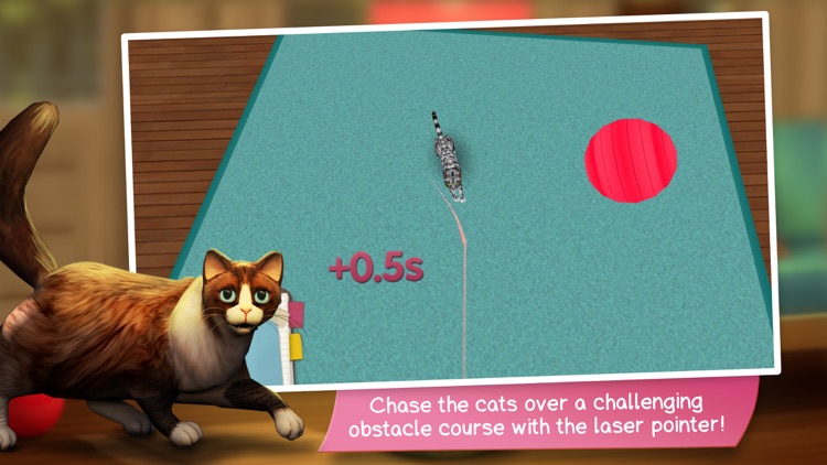 CatHotel - Care for cute cats screenshot-6