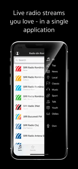 Game screenshot Radio din România mod apk