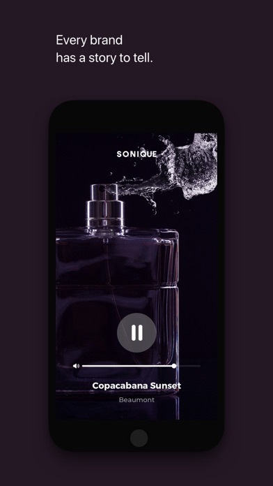 Sonique Player screenshot 3