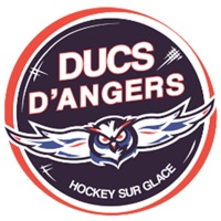 Ducs d'Angers pour PC