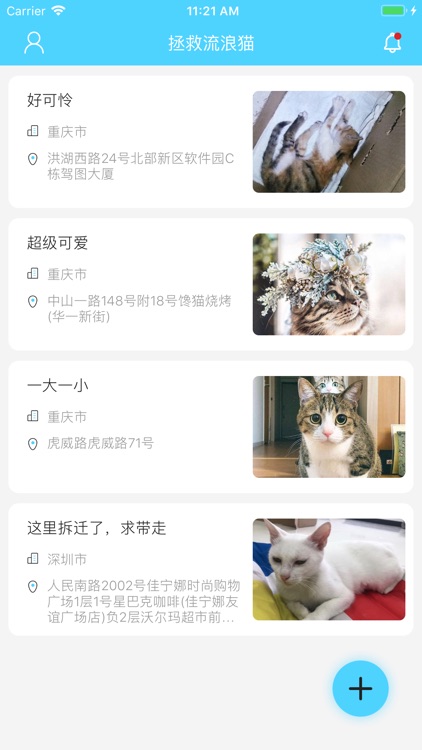 拯救流浪猫