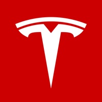 Tesla app funktioniert nicht? Probleme und Störung