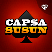 Capsa Susun