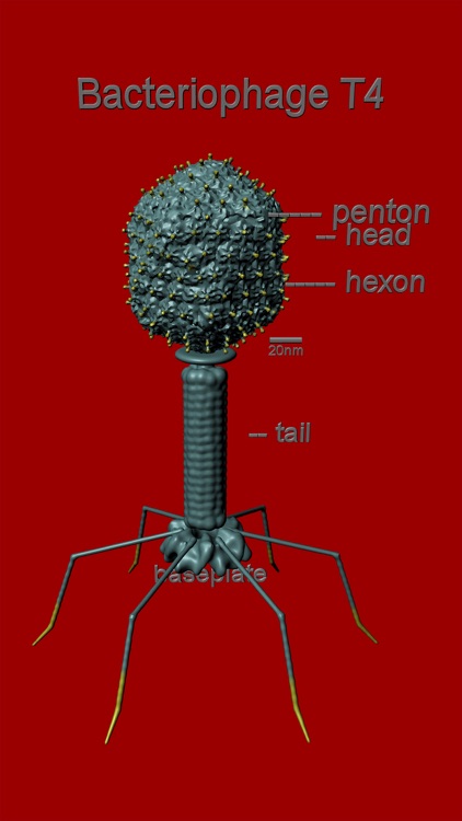 Bio Virus Structure in 3D screenshot-4