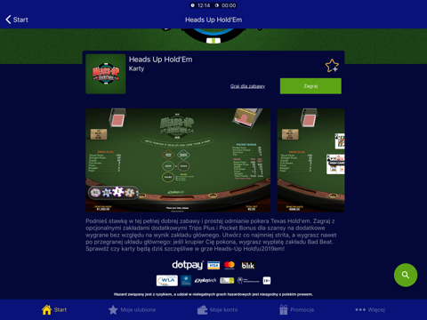 Total Casino Gry Online Slots screenshot 2